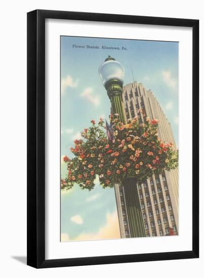 Hanging Flowers, Allentown, Pennsylvania-null-Framed Art Print