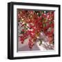 Hanging Flowers-Philip Craig-Framed Art Print