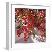 Hanging Flowers-Philip Craig-Framed Art Print