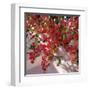 Hanging Flowers-Philip Craig-Framed Art Print