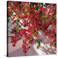 Hanging Flowers-Philip Craig-Stretched Canvas