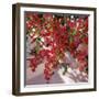 Hanging Flowers-Philip Craig-Framed Art Print