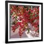 Hanging Flowers-Philip Craig-Framed Art Print