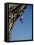 Hanging from a Cliff-null-Framed Stretched Canvas