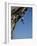 Hanging from a Cliff-null-Framed Photographic Print
