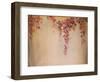 Hanging Garden Taylor-Kari Taylor-Framed Giclee Print