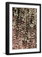 Hanging Garden-Shot by Clint-Framed Giclee Print