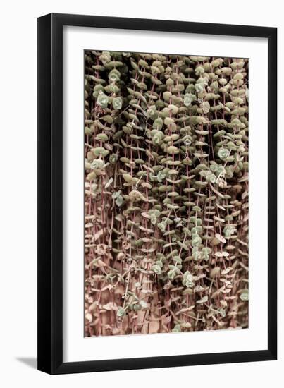 Hanging Garden-Shot by Clint-Framed Giclee Print