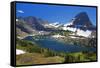 Hanging Gardens, Logan Pass, Glacier National Park, Montana, USA-Charles Gurche-Framed Stretched Canvas