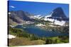 Hanging Gardens, Logan Pass, Glacier National Park, Montana, USA-Charles Gurche-Stretched Canvas