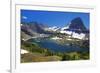 Hanging Gardens, Logan Pass, Glacier National Park, Montana, USA-Charles Gurche-Framed Photographic Print