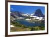 Hanging Gardens, Logan Pass, Glacier National Park, Montana, USA-Charles Gurche-Framed Photographic Print