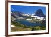 Hanging Gardens, Logan Pass, Glacier National Park, Montana, USA-Charles Gurche-Framed Photographic Print