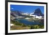 Hanging Gardens, Logan Pass, Glacier National Park, Montana, USA-Charles Gurche-Framed Photographic Print