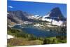 Hanging Gardens, Logan Pass, Glacier National Park, Montana, USA-Charles Gurche-Mounted Photographic Print