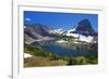 Hanging Gardens, Logan Pass, Glacier National Park, Montana, USA-Charles Gurche-Framed Photographic Print