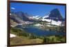 Hanging Gardens, Logan Pass, Glacier National Park, Montana, USA-Charles Gurche-Framed Photographic Print