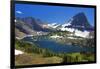 Hanging Gardens, Logan Pass, Glacier National Park, Montana, USA-Charles Gurche-Framed Photographic Print