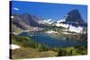 Hanging Gardens, Logan Pass, Glacier National Park, Montana, USA-Charles Gurche-Stretched Canvas