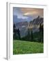 Hanging Gardens, Logan Pass, Glacier National Park, Montana, USA-Charles Gurche-Framed Photographic Print