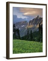 Hanging Gardens, Logan Pass, Glacier National Park, Montana, USA-Charles Gurche-Framed Photographic Print