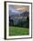 Hanging Gardens, Logan Pass, Glacier National Park, Montana, USA-Charles Gurche-Framed Photographic Print