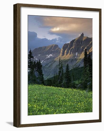 Hanging Gardens, Logan Pass, Glacier National Park, Montana, USA-Charles Gurche-Framed Photographic Print