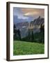 Hanging Gardens, Logan Pass, Glacier National Park, Montana, USA-Charles Gurche-Framed Photographic Print