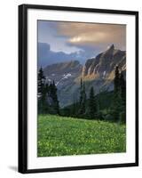 Hanging Gardens, Logan Pass, Glacier National Park, Montana, USA-Charles Gurche-Framed Photographic Print