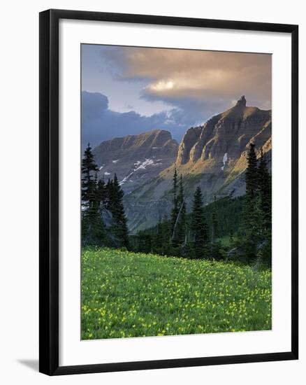 Hanging Gardens, Logan Pass, Glacier National Park, Montana, USA-Charles Gurche-Framed Photographic Print