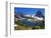 Hanging Gardens, Logan Pass, Glacier National Park, Montana, USA-Charles Gurche-Framed Premium Photographic Print