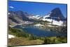 Hanging Gardens, Logan Pass, Glacier National Park, Montana, USA-Charles Gurche-Mounted Premium Photographic Print