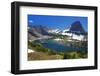 Hanging Gardens, Logan Pass, Glacier National Park, Montana, USA-Charles Gurche-Framed Photographic Print