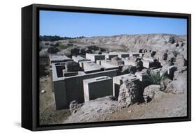 Hanging Gardens of Babylon, Iraq-Vivienne Sharp-Framed Stretched Canvas