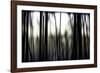 Hanging in the Branches-Rory Garforth-Framed Photographic Print