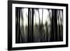 Hanging in the Branches-Rory Garforth-Framed Photographic Print