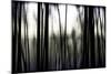 Hanging in the Branches-Rory Garforth-Mounted Photographic Print