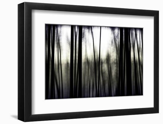 Hanging in the Branches-Rory Garforth-Framed Premium Photographic Print