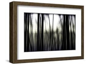 Hanging in the Branches-Rory Garforth-Framed Photographic Print