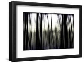 Hanging in the Branches-Rory Garforth-Framed Photographic Print