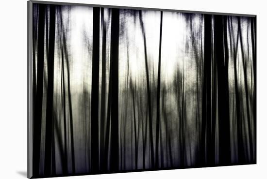 Hanging in the Branches-Rory Garforth-Mounted Photographic Print