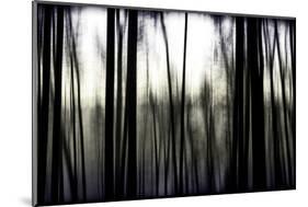 Hanging in the Branches-Rory Garforth-Mounted Photographic Print