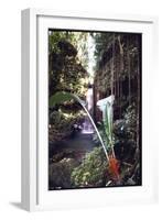 Hanging Liana Vines Frame Waterfall Tumbling Into Emerald Pool-John Dominis-Framed Photographic Print