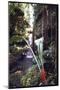 Hanging Liana Vines Frame Waterfall Tumbling Into Emerald Pool-John Dominis-Mounted Photographic Print