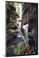 Hanging Liana Vines Frame Waterfall Tumbling Into Emerald Pool-John Dominis-Mounted Photographic Print