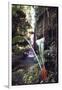 Hanging Liana Vines Frame Waterfall Tumbling Into Emerald Pool-John Dominis-Framed Photographic Print