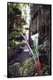 Hanging Liana Vines Frame Waterfall Tumbling Into Emerald Pool-John Dominis-Stretched Canvas
