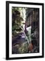 Hanging Liana Vines Frame Waterfall Tumbling Into Emerald Pool-John Dominis-Framed Photographic Print