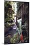 Hanging Liana Vines Frame Waterfall Tumbling Into Emerald Pool-John Dominis-Mounted Photographic Print