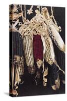 Hanging Maize Cobs, 2005-Pedro Diego Alvarado-Stretched Canvas